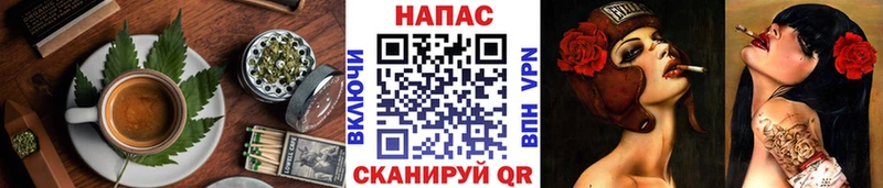 где купить   Крым  Canna-Cookies конопля 