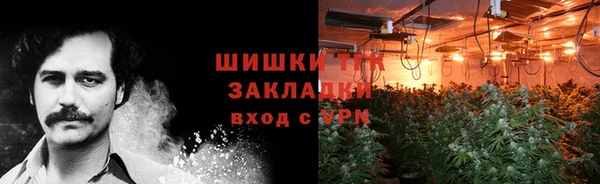 крисы Михайловск